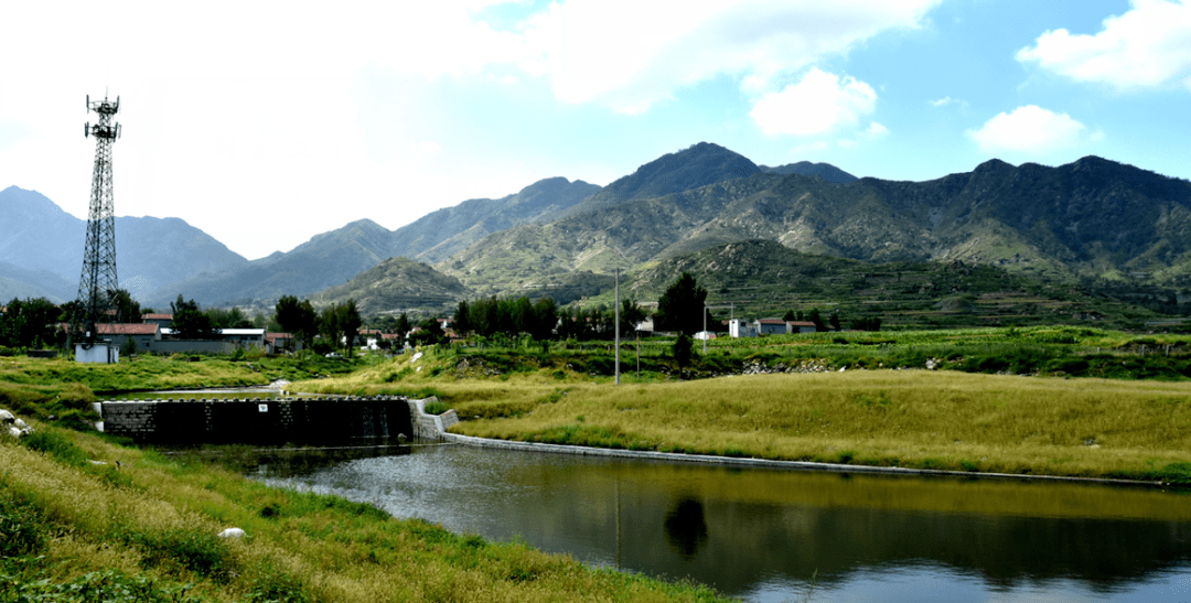 【今日关注】喜讯!邹平市青阳镇荣获"国家卫生镇"表彰授牌