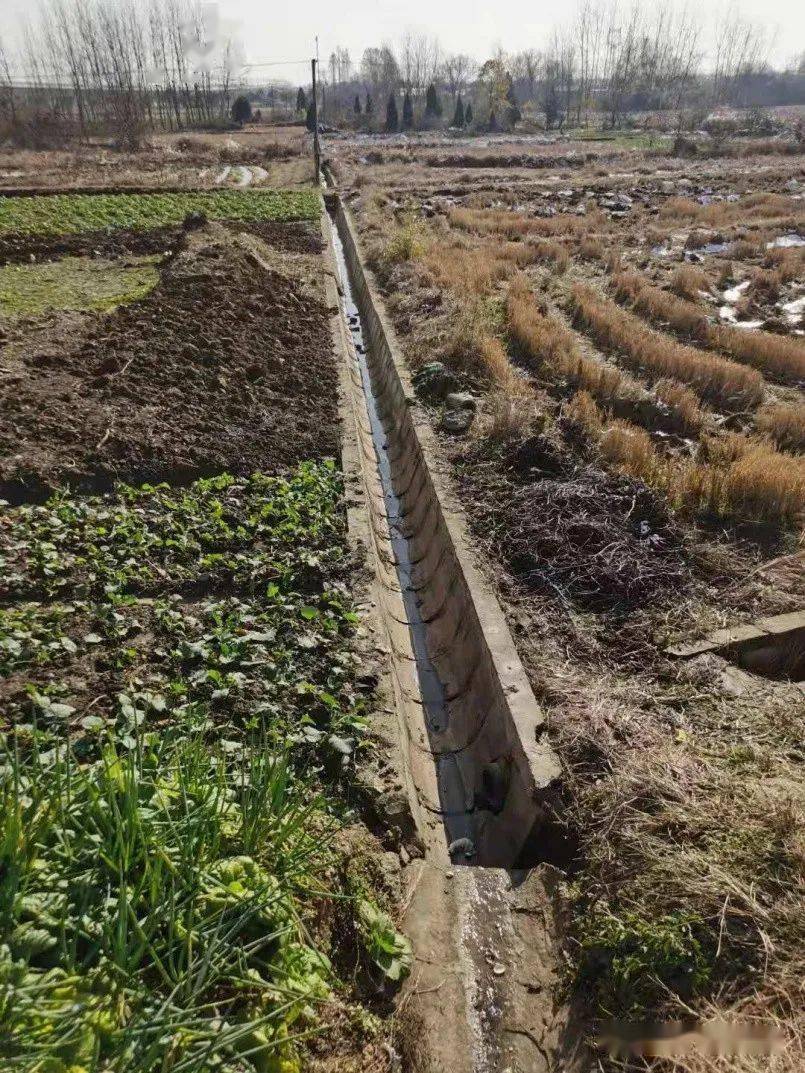 舒城加速打通农田水利建设最后一公里