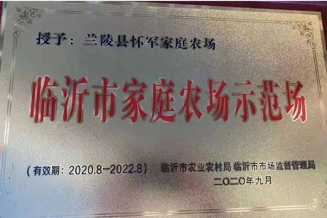 2019年9月被县委县政府评为"兰陵县十强鸿雁"荣誉称号;2020年6月被