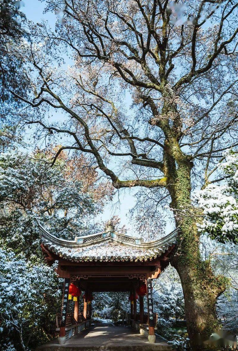 2020冬溪口雪窦山雪景