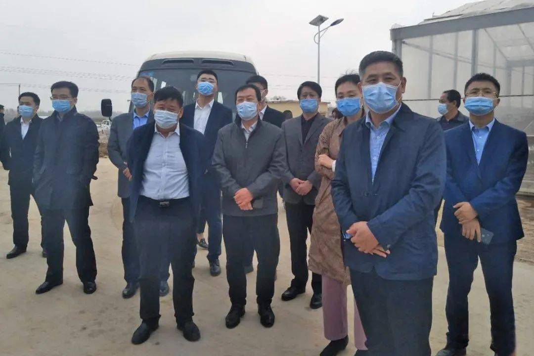 华能菏泽东明风电80兆瓦项目全容量并网发电