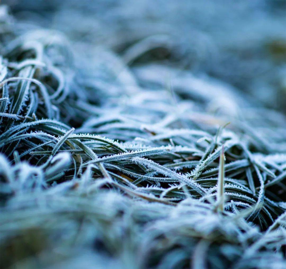 熹微下的良渚古城落霜与你皆是美景