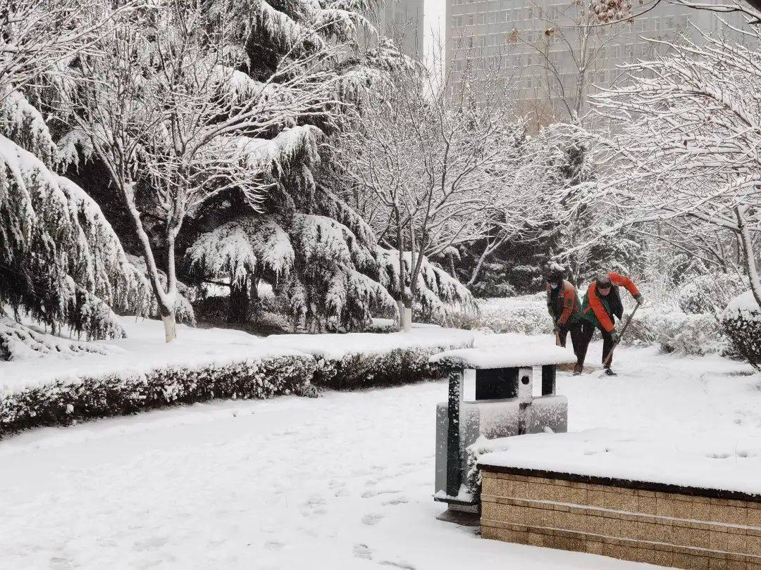 潍坊,下大雪了