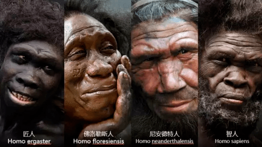 尼安德特人,匠人,佛洛勒斯人,海德堡人,元谋人,蓝田人,爪哇人,霍比特