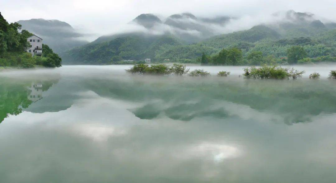 湖光山色美景白鹭清风湿地走去乌溪江湿地公园吧~@衢州广电全媒体新闻