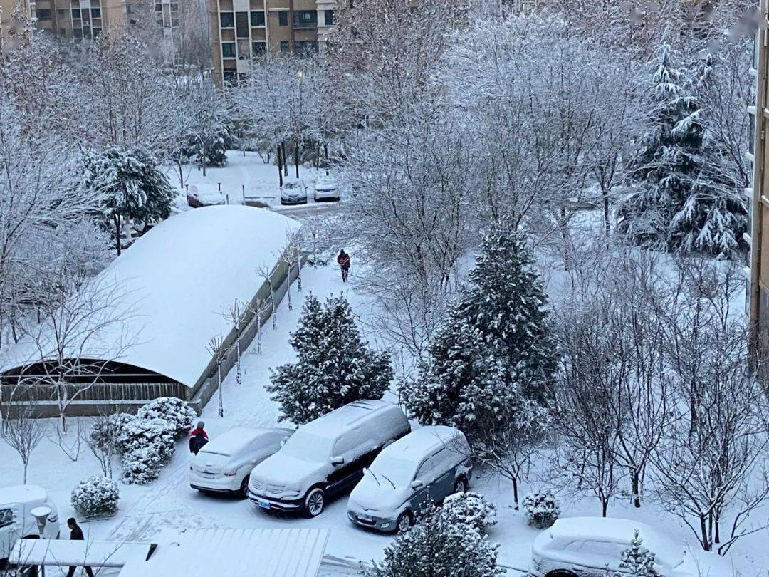 2020年最后一场降雪到货青岛街头众人雪中推车暖心刷屏
