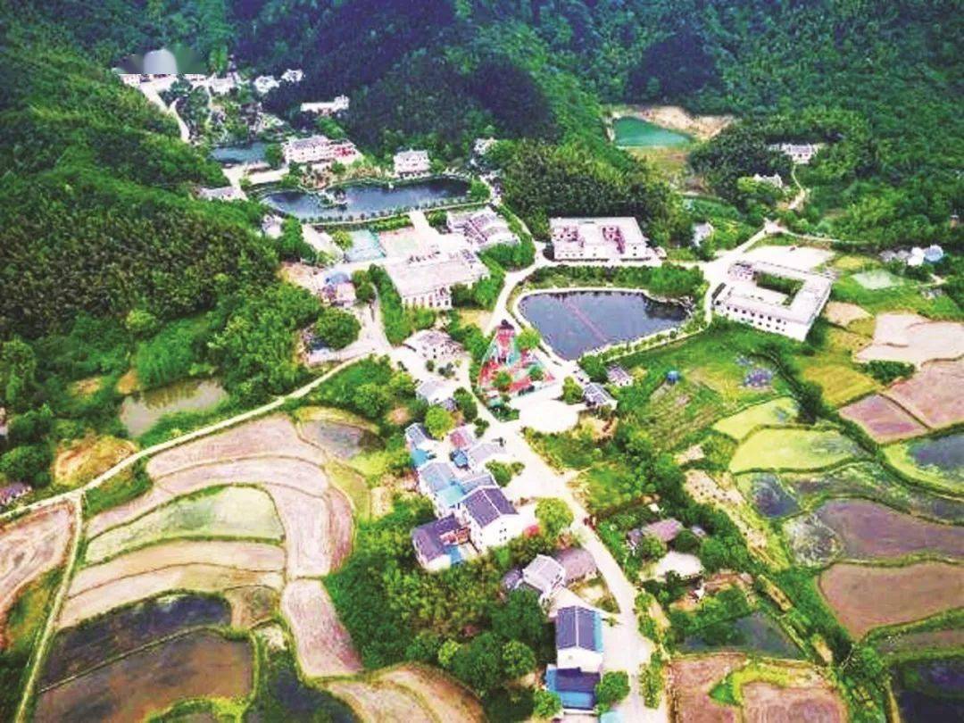 "高陵岗社区9组村民张凡春说,村民们把过去闲置的房间,改造成民宿