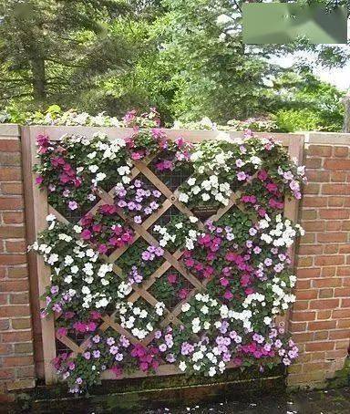 简单又实用的花园栅栏打造,让庭院变得更温暖