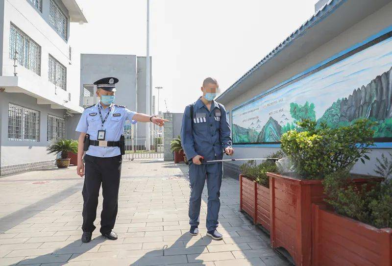 镜头下我的二零二零