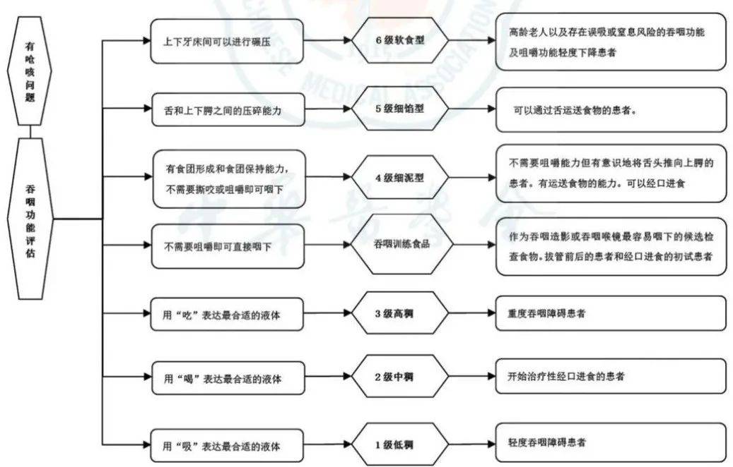 图4 吞咽功能与不同分级食物的选择3.