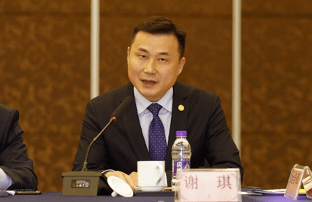 浙非服务中心主任 谢琪三省一市政府专业服务机构,相关商协会,境外