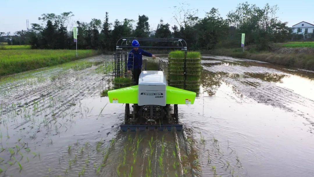 中联水稻有序抛秧机国家水稻产业技术体系岗位专家,湖南农业大学教授