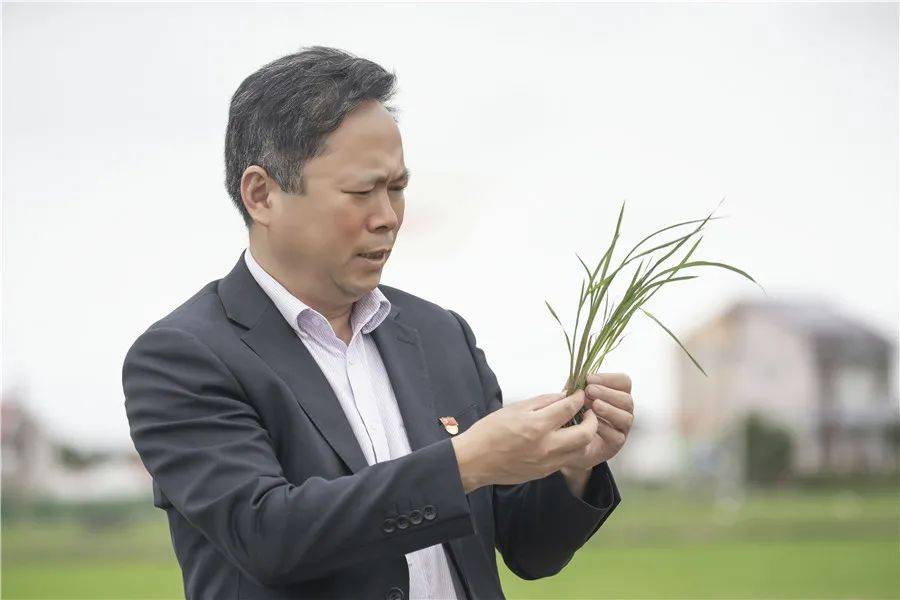 他当了13年村支书,全心全意勤为民!