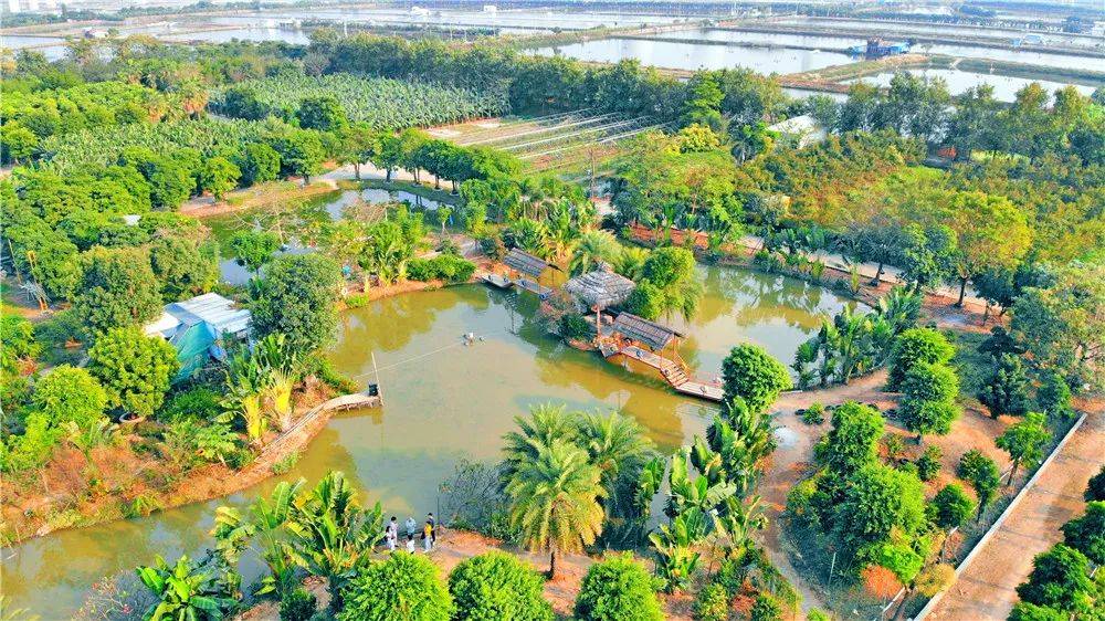 生态农业公园中山市祥农洲农业高新科技园区位于中山市沙溪镇沙朗片区