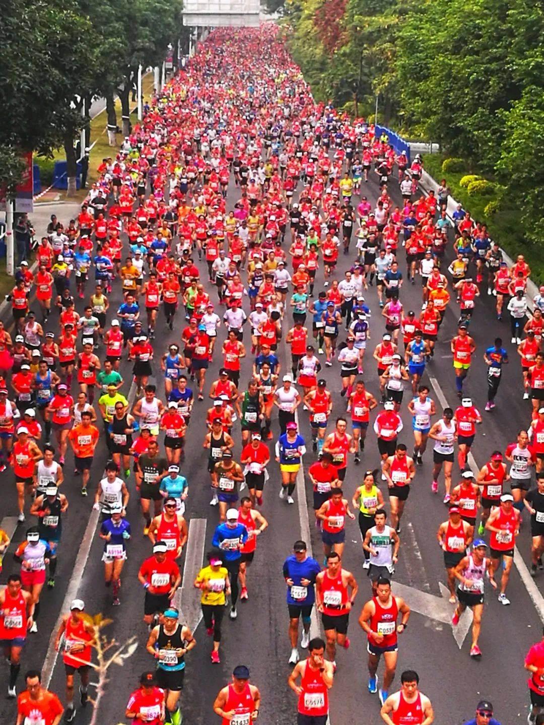 2020广州马拉松摄影大赛终评结果揭晓获特等奖是