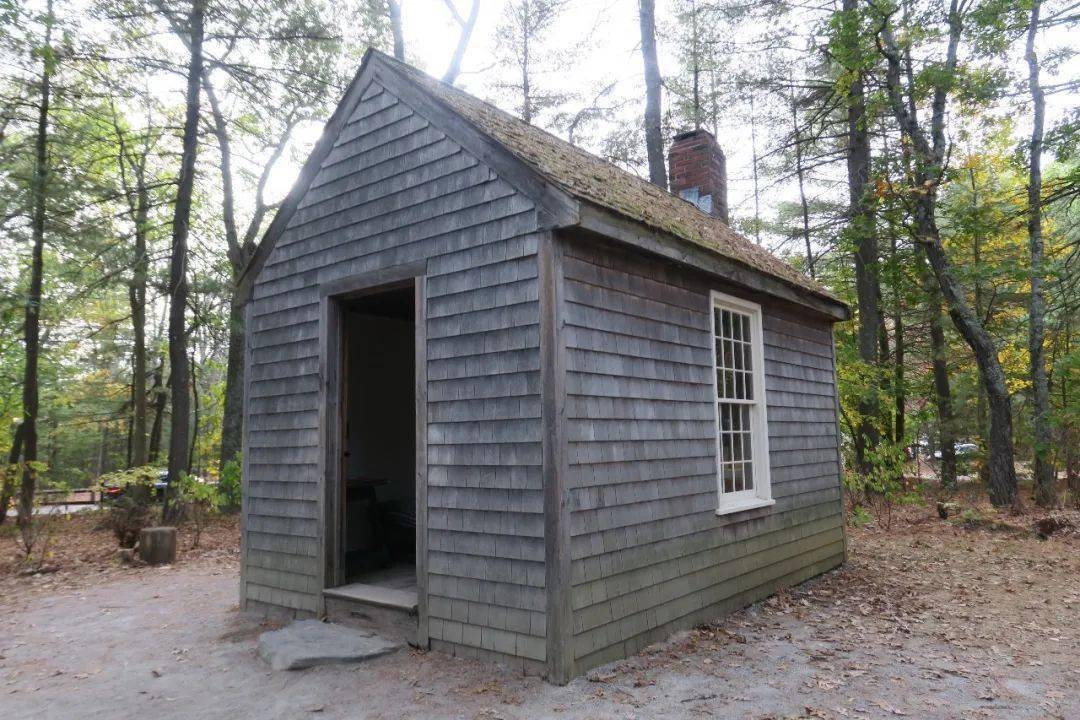 瓦尔登湖 | 梭罗和我的婆婆_小屋