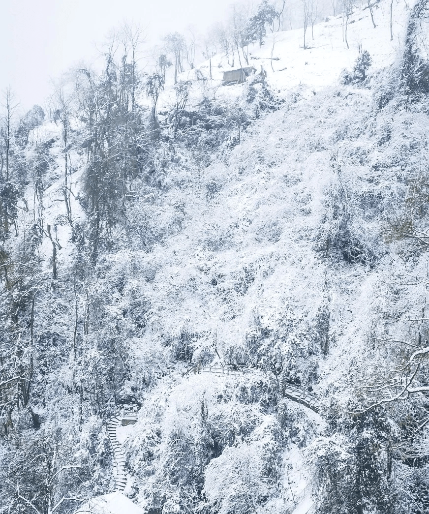 什邡神瀑沟下大雪了99元抢购冬季单人门票399元抢购神瀑沟冬季门票