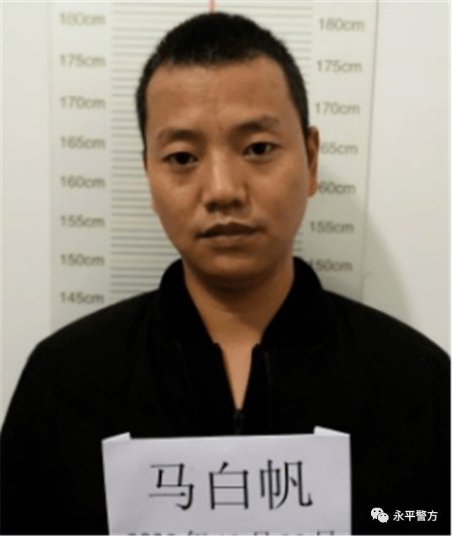 大理州这个县打掉一个犯罪团伙公开征集线索