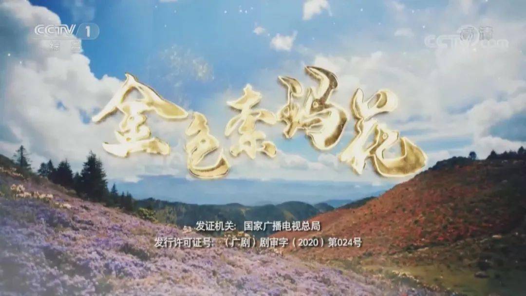 金色索玛花花开大凉山电视剧金色索玛花在德昌引起热烈反响