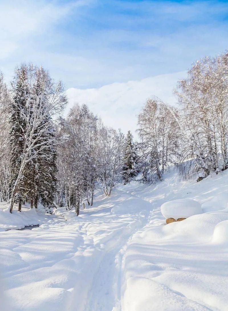 银色仙境落人间,白雪卷云降碧空.窗帘隔外起