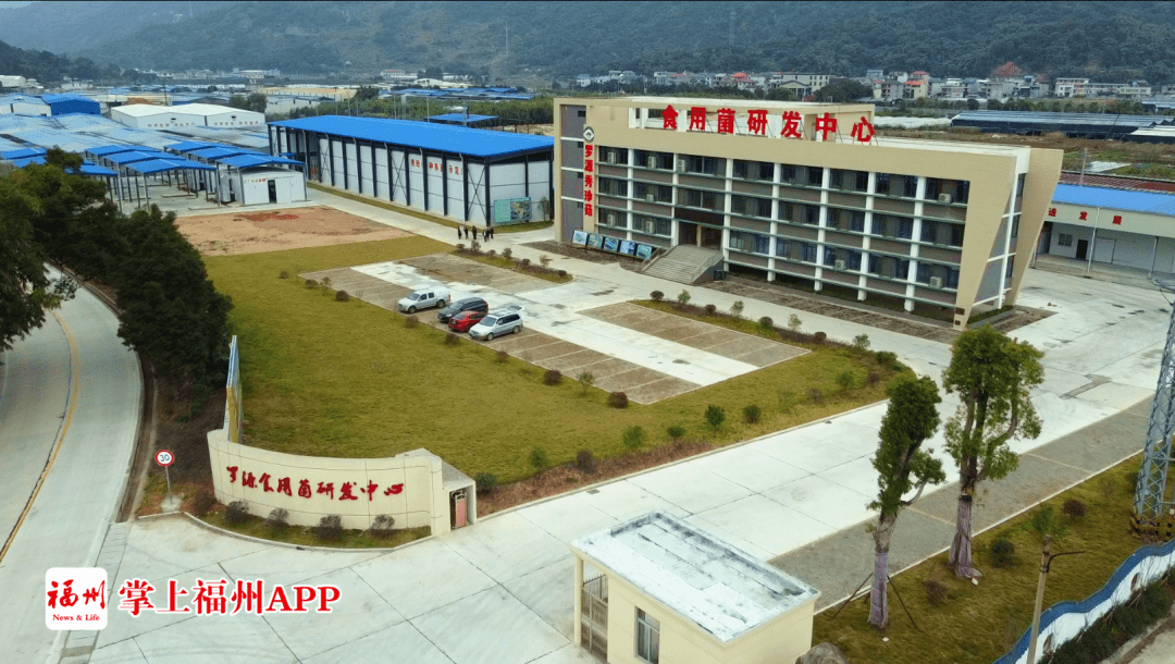 罗源这幅画,美!