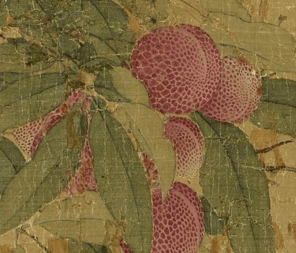 一骑红尘妃子笑看看宋徽宗笔下的荔枝图