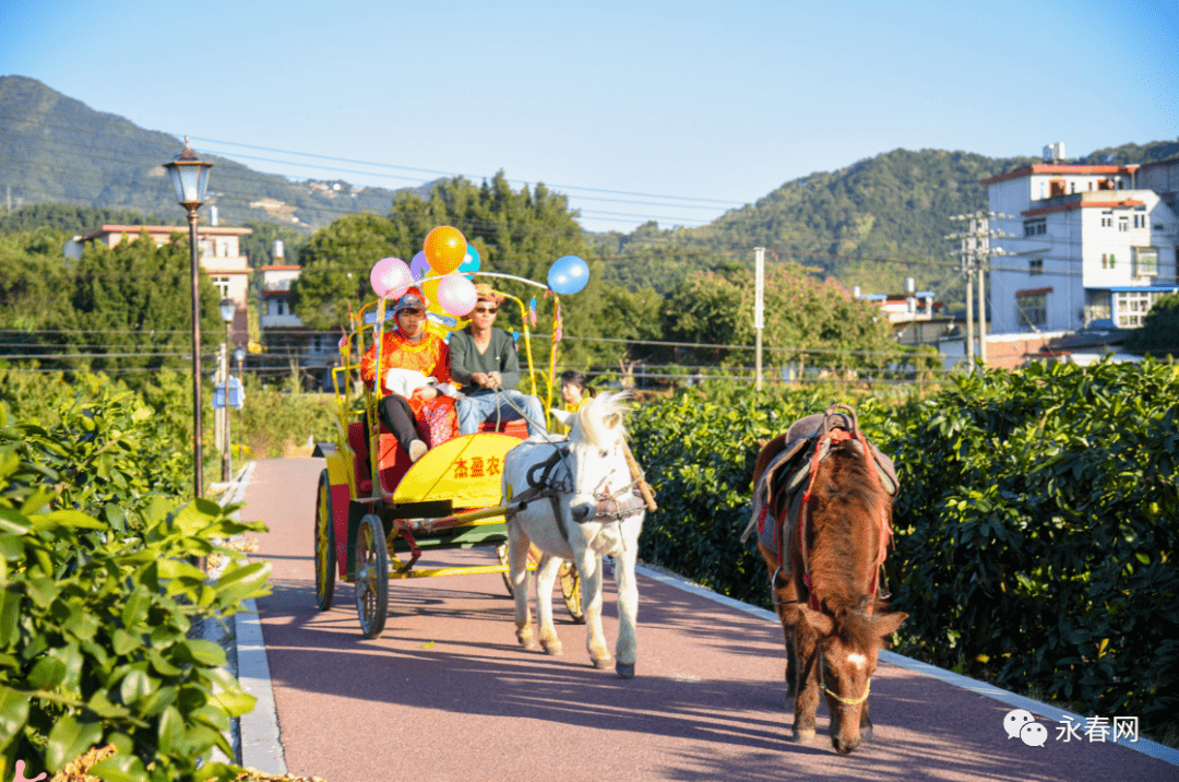 元旦假期快来永春埔头村骑马射箭坐马车体验状元文化