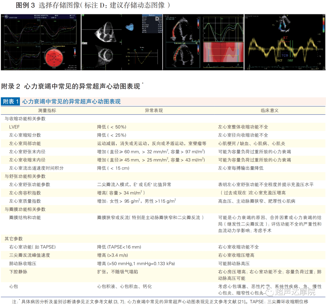 中国成人心力衰竭超声心动图规范化检查专家共识_评估