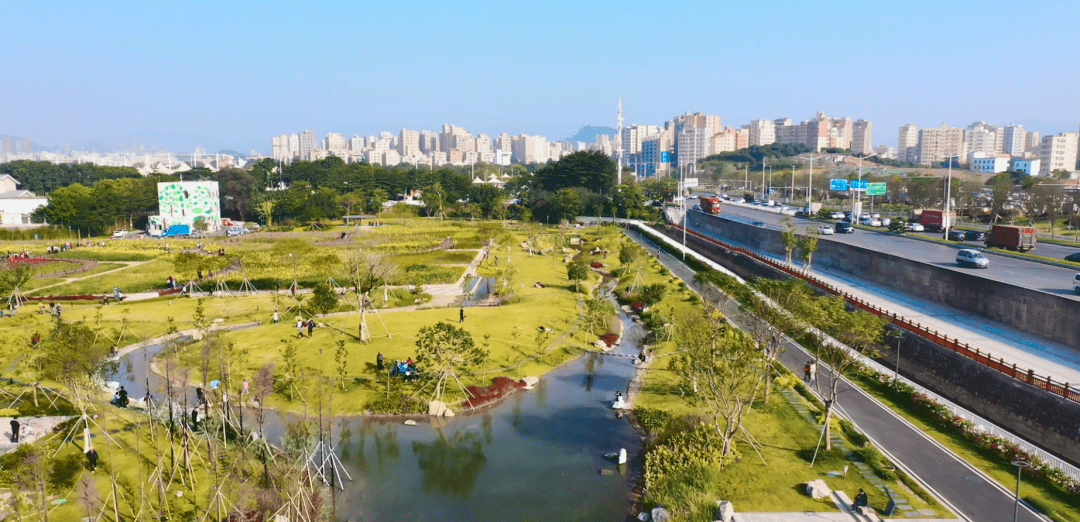 【vlog】这里花开,楼村湿地_公园