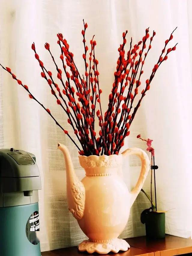 银柳的原色为白色,各种彩色银柳都为染色的,银柳是一种优良的观芽植物