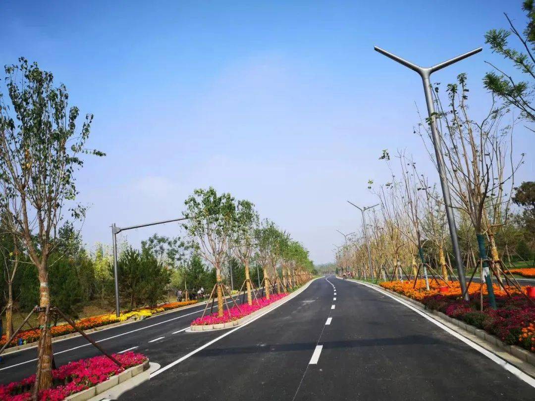 委员会及通州规自分局统筹组织下,城市绿心基础设施规划采取"政府组织