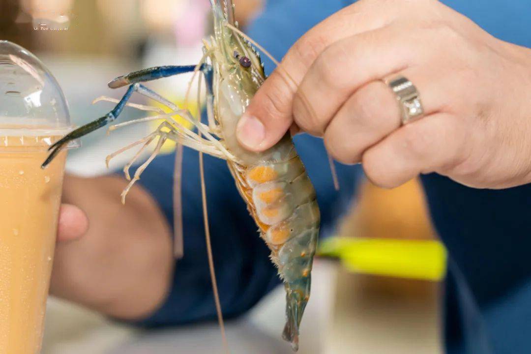 台山大型"透明玻璃"室内钓虾馆,赶紧来打卡!