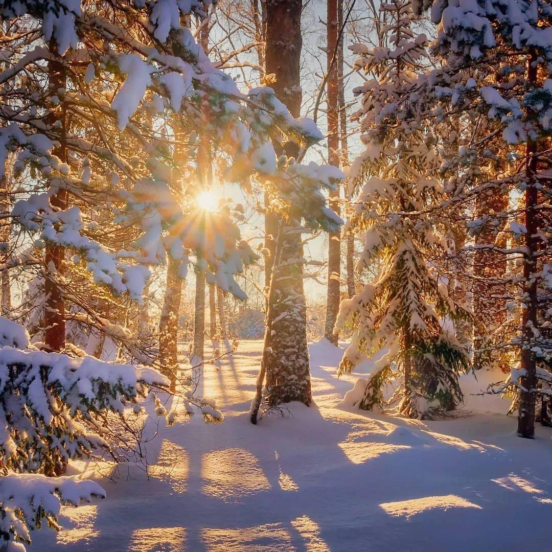冬日暖阳图片唯美图片