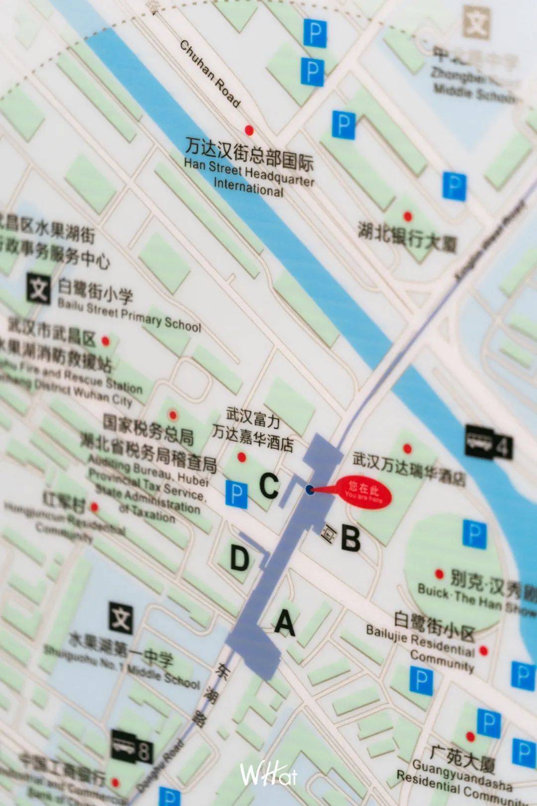 编钟青列车,从梨园一路南下,在省博物馆积累一身底蕴,在楚河汉街领略