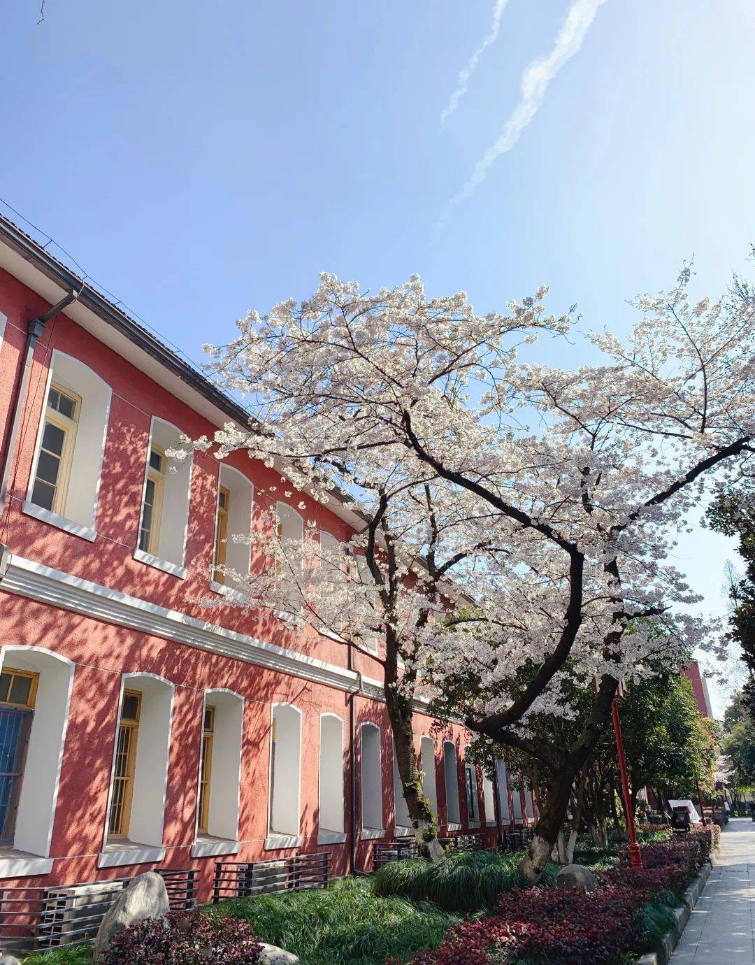 跟我开年|拥有ta们的2021,或许更完整_杭高