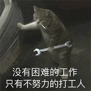 2020热门表情包排行榜陪我们走向2021这些表情包陪我们从2020走到了