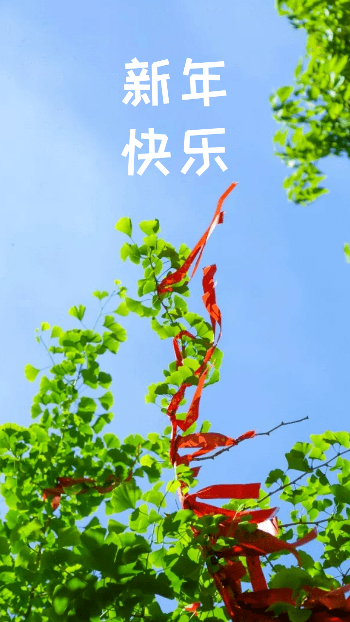 新年快乐丨2021从美好祝愿开始