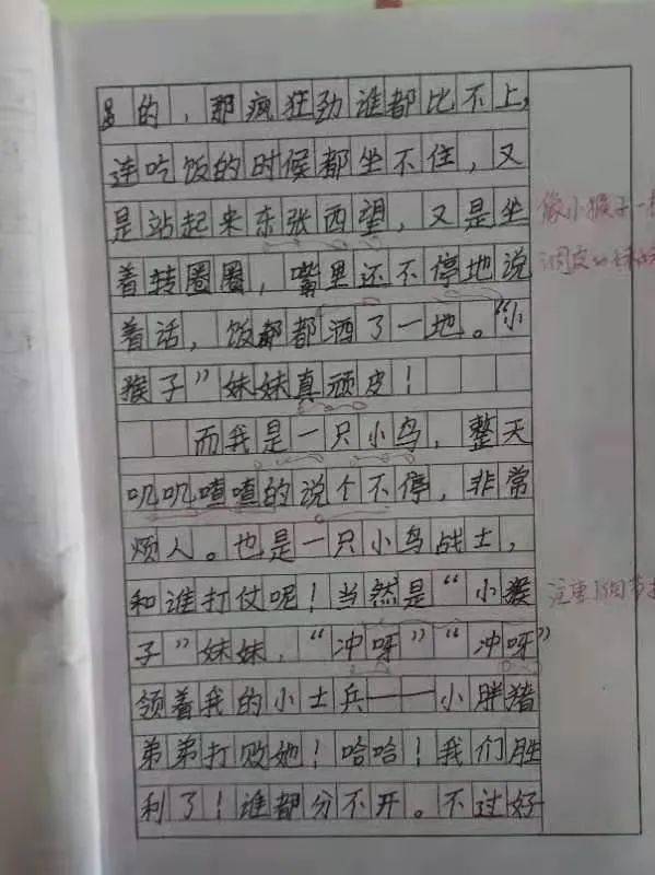 原创作品展小小动物园白浪河湿地公园丁曦慧