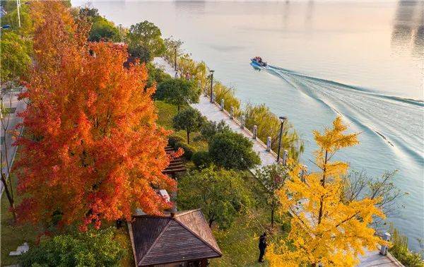 冷水滩:冬日滨江 "枫"景独好_永州