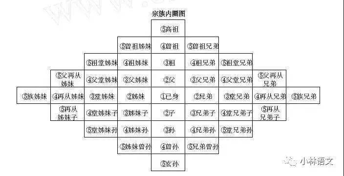 小林读书 | 《乡土中国》之差序格局