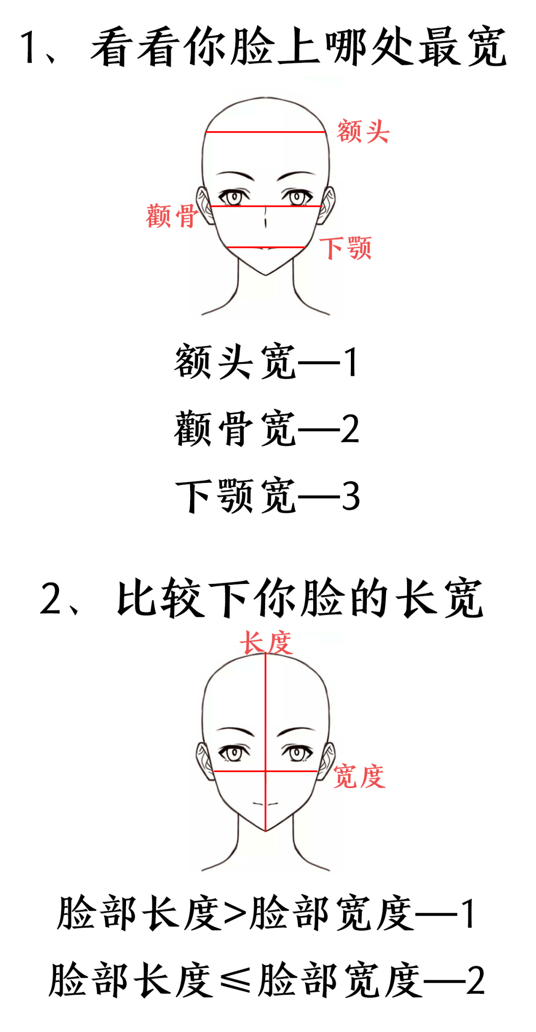 额头宽度:左右发际转折点之间的距离.