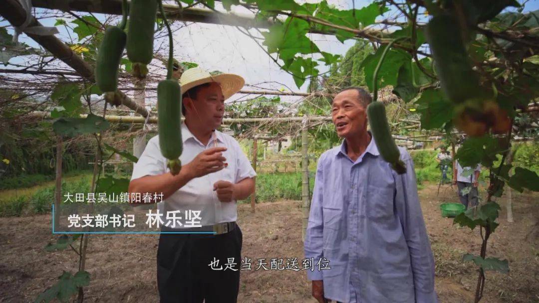 大田县吴山镇阳春村独特的数字化建设!