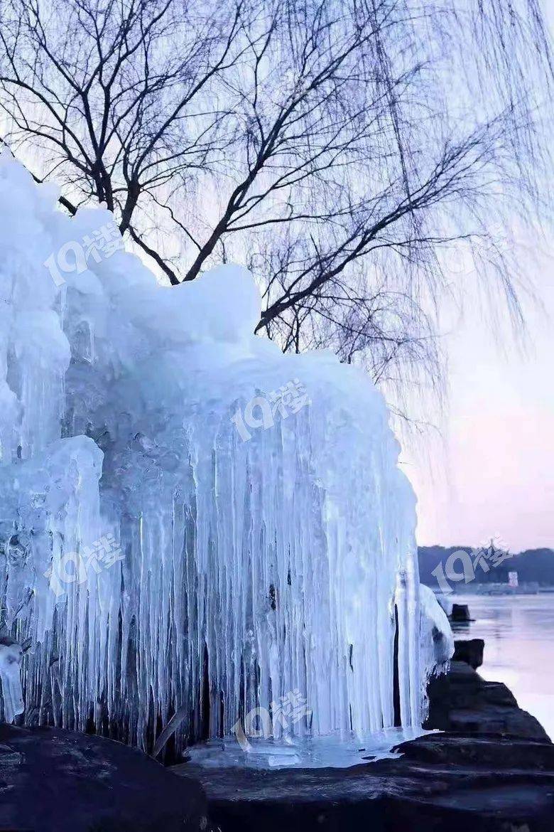 你见过冰冻的湘家荡吗？太美了！网友：拍出了北方的感觉
