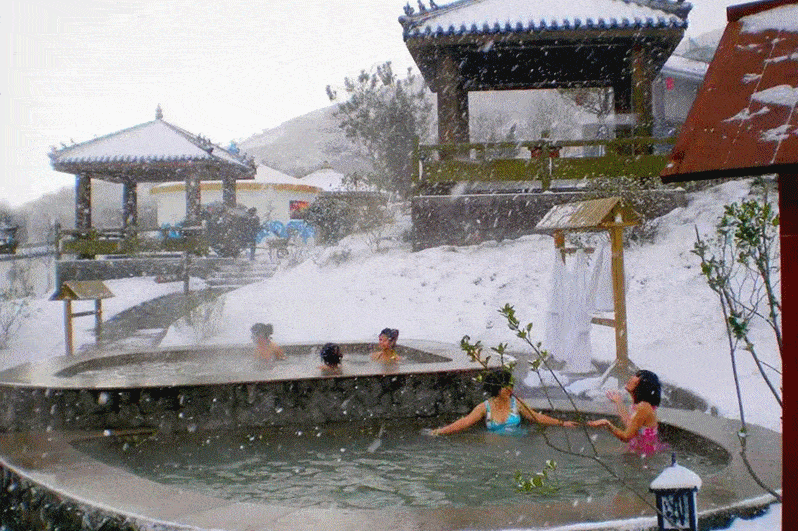 798_531gif 动态图 动图