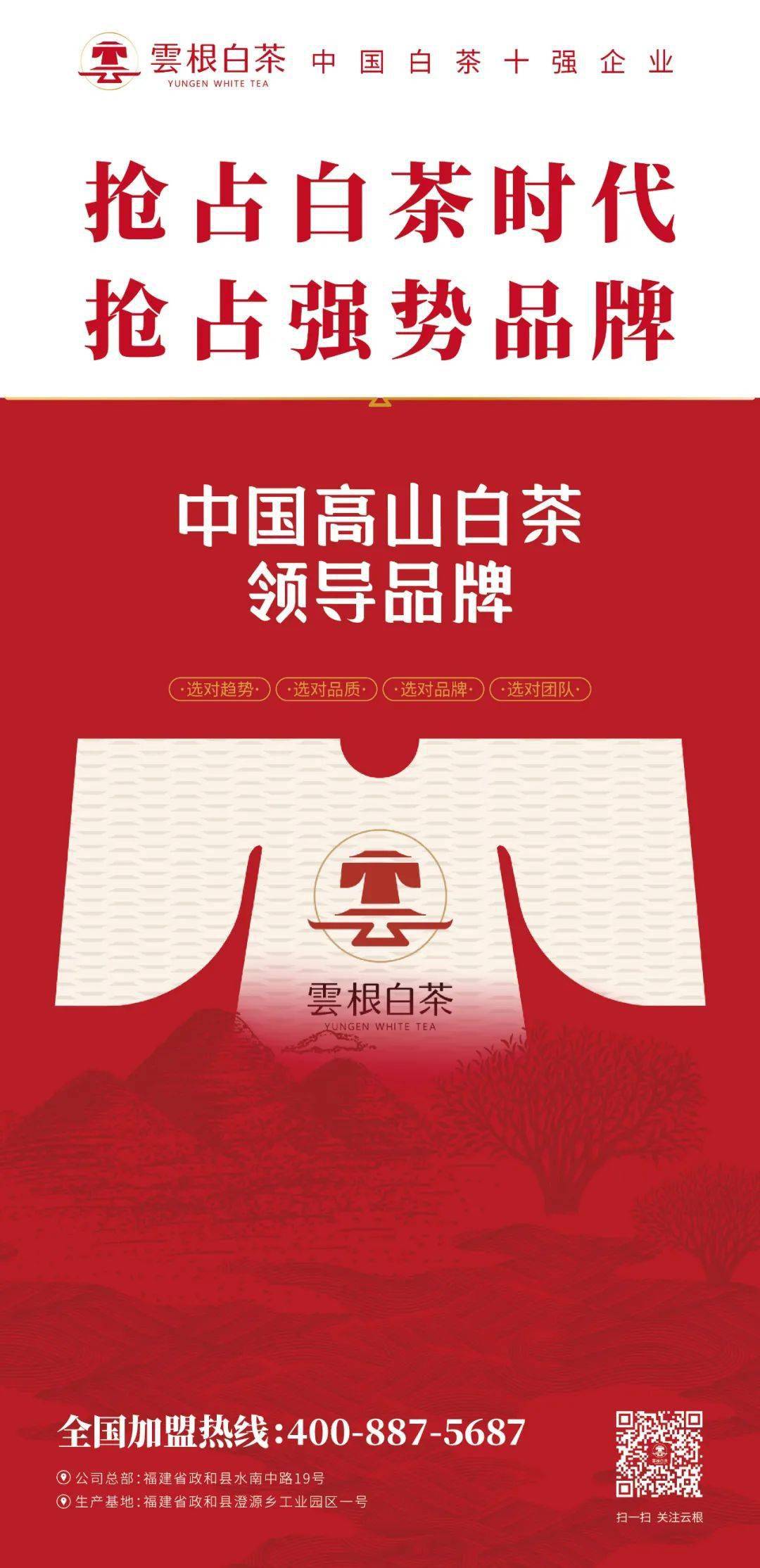 云根白茶莆田3店牛头齐发政和白茶耕耘莆仙大地