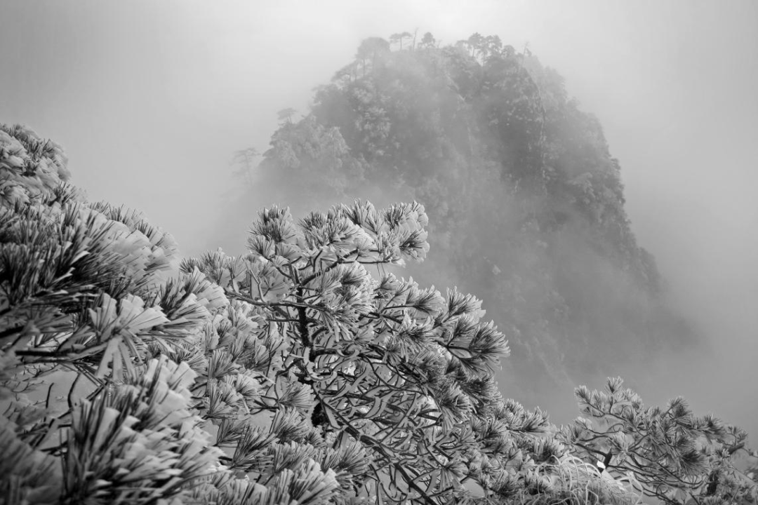 闽北美景|光泽乌君山:四季风光无限