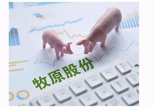 牧原股份站在股价新一波上涨起点:预计2021年净利润700亿