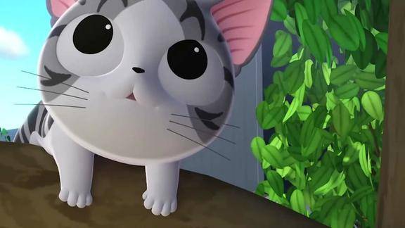 甜甜私房猫小奇连最基本猫的本领都不会了被宠的太好了