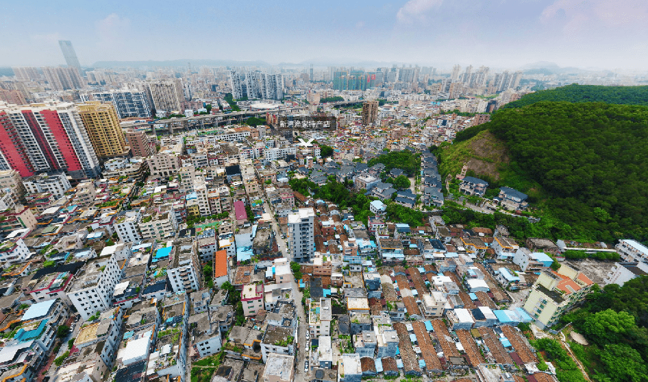 【湾区时尚 乐游虎门】虎门全景游