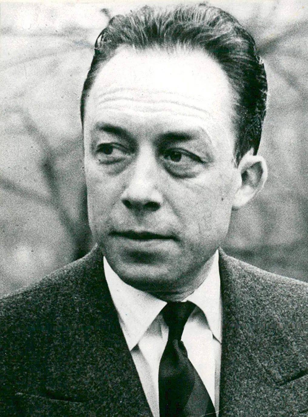 阿尔贝 · 加缪albert camus(1913年11月7日-1960年1月4日)阿尔贝